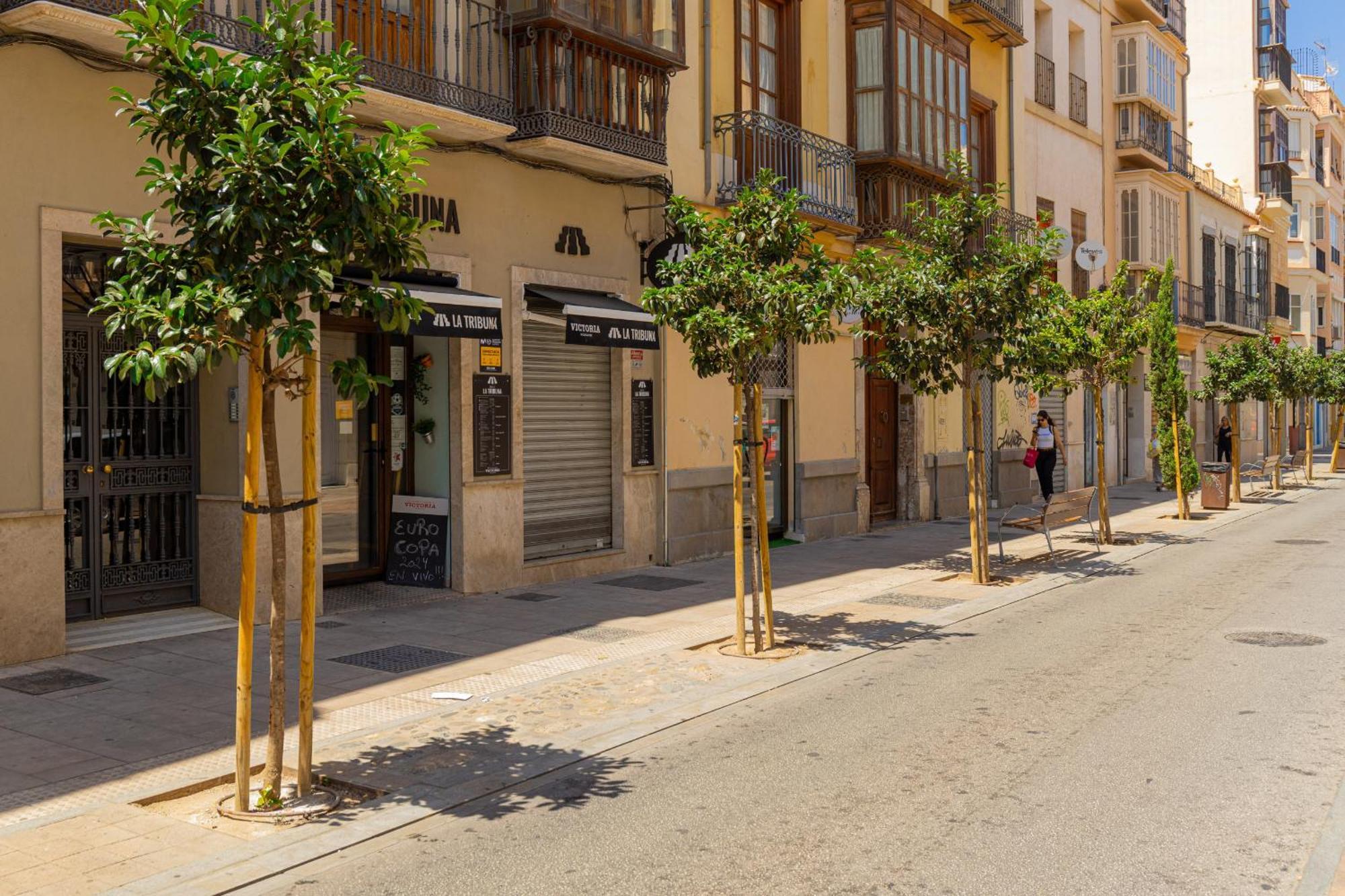 C103 - Sunny Terrace, Old Town Views Apartment Málaga Exterior foto
